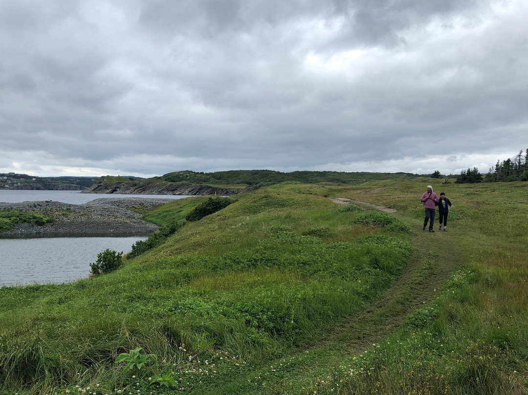 Fox Island Trail景点图片