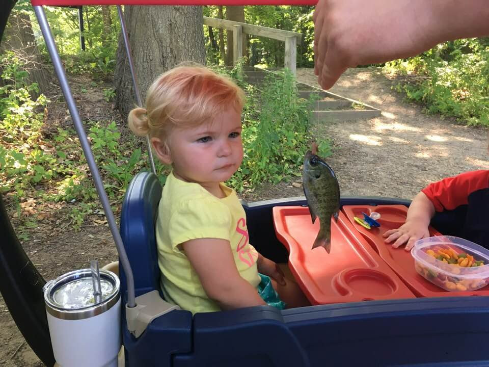 Veterans Park-Mentor必去景点