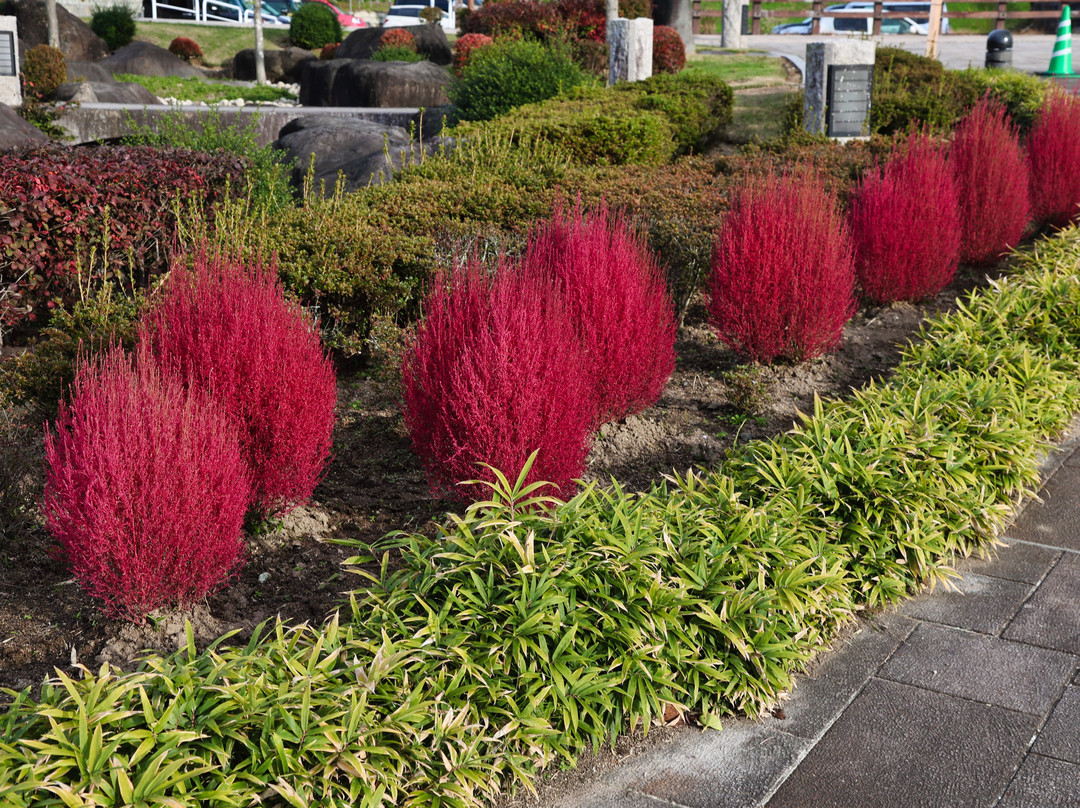 Ryukoteranuma Park