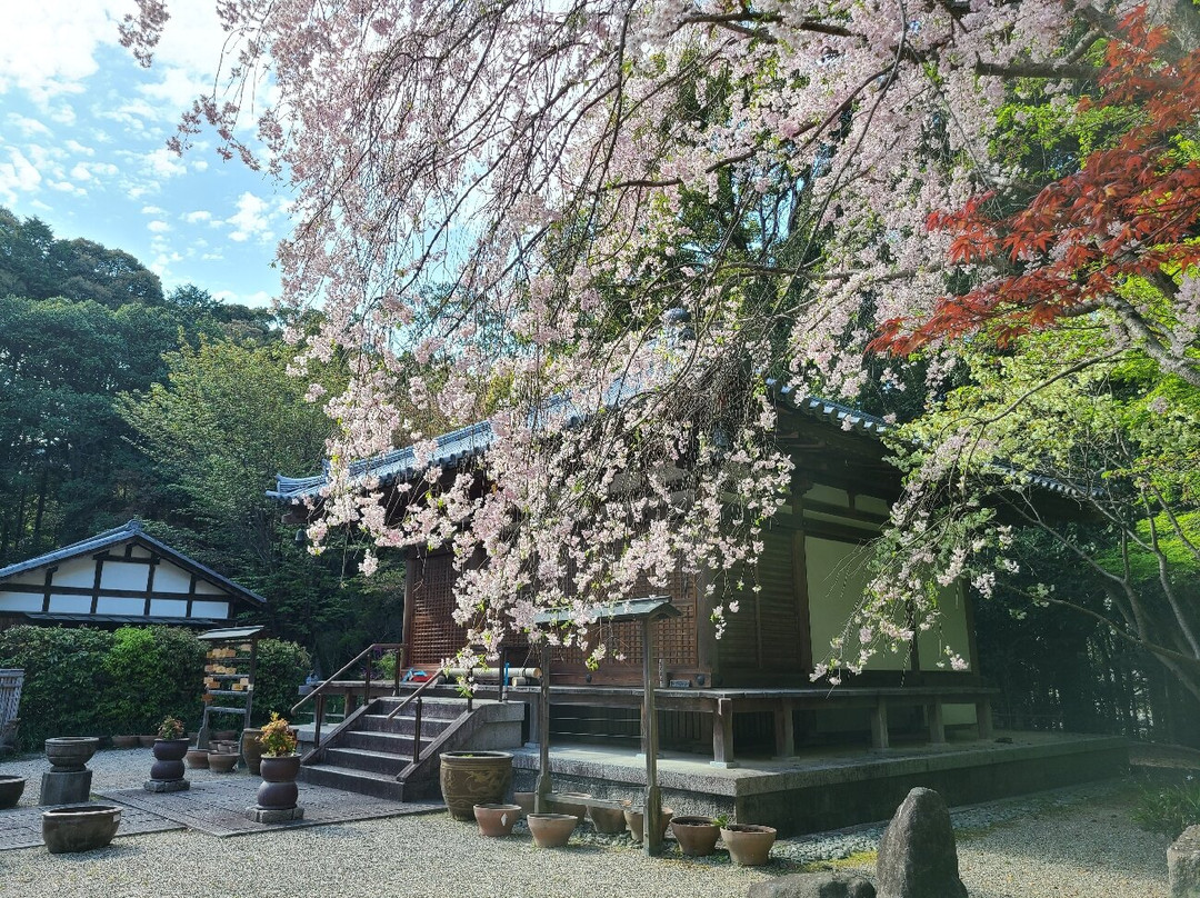 Chikurinji Temple景点图片