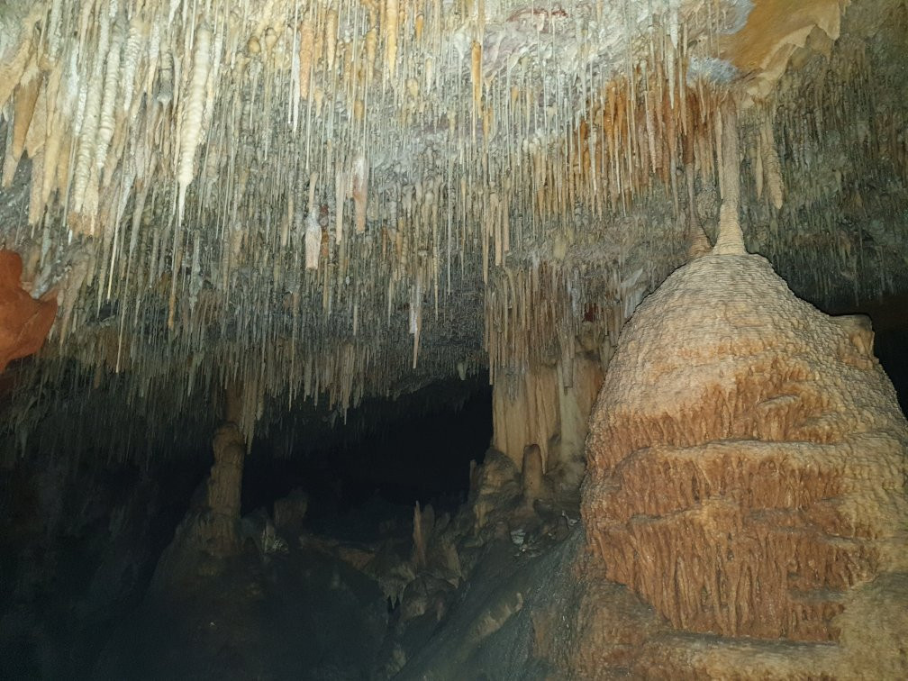 Calgardup Cave景点图片