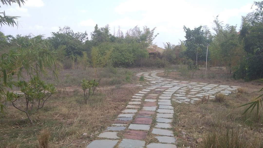 Mahua Tola Resort主图