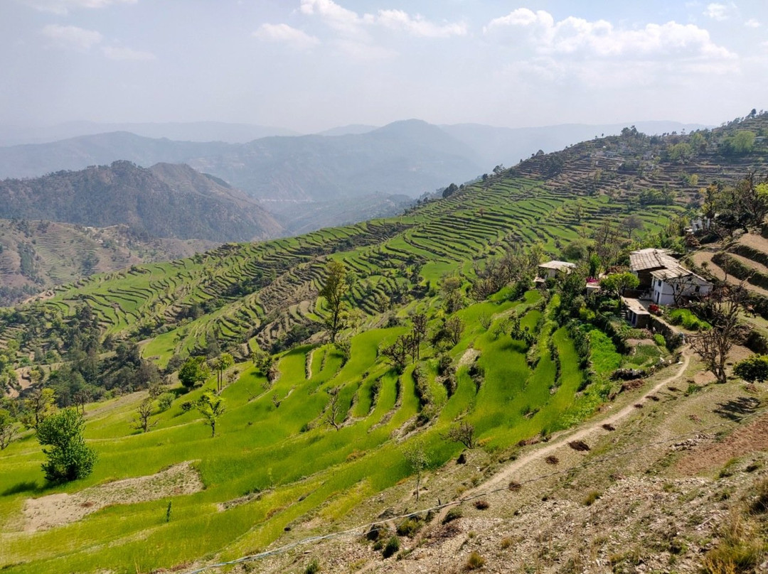 Parvada Bungalows主图