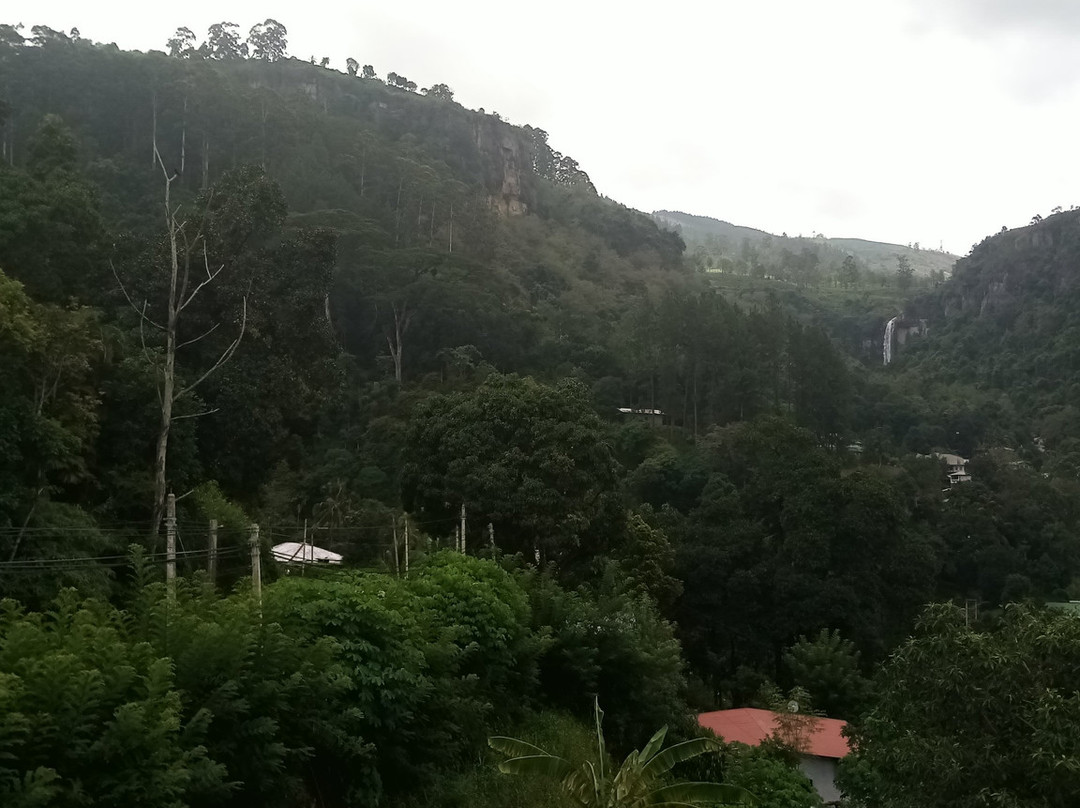 Taxi Nuwaraeliya srilanka Tour with Henry-奴娃拉伊利雅必去景点