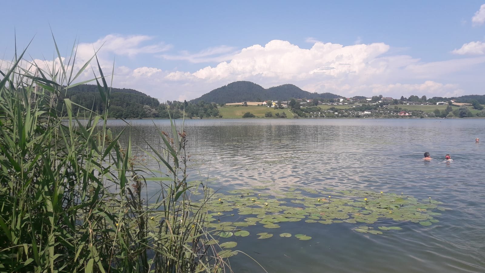 Pension Hribernig-官方