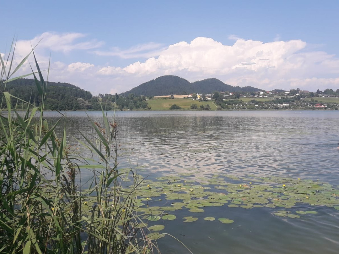 Pension Hribernig主图