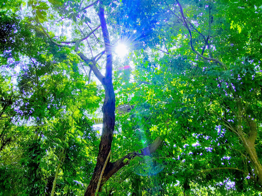 ProTour Africa-阿克拉必去景点