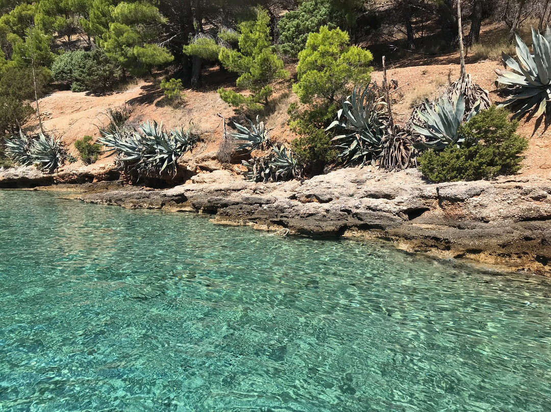 Adriatic Charter