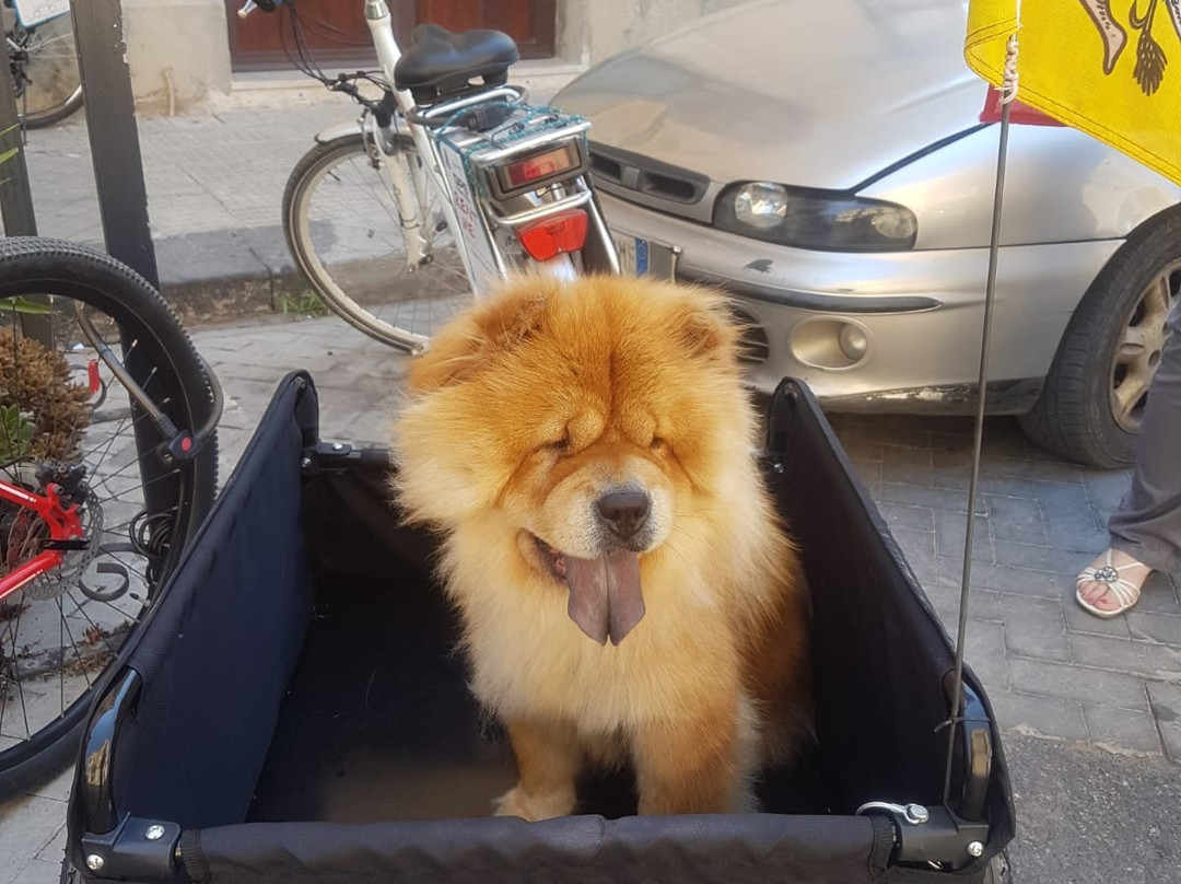 Siracusa Tour Bike-锡拉库扎必去景点