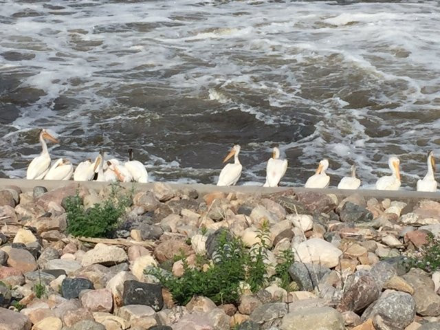 Sorlien Park-Granite Falls必去景点