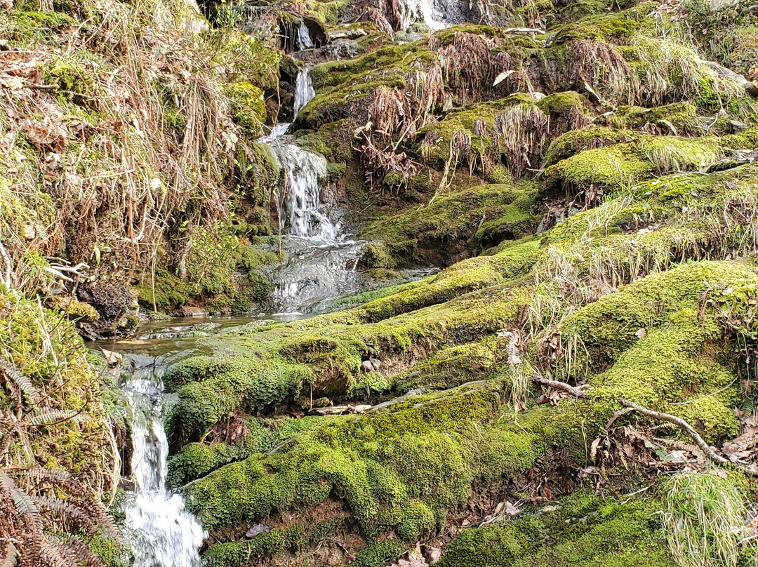Glendalough Upper Lake-Wicklow必去景点