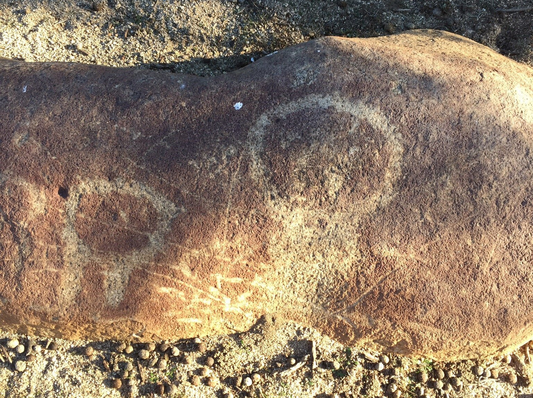 Parque Rupestre Monte Aranda-Los Vilos必去景点