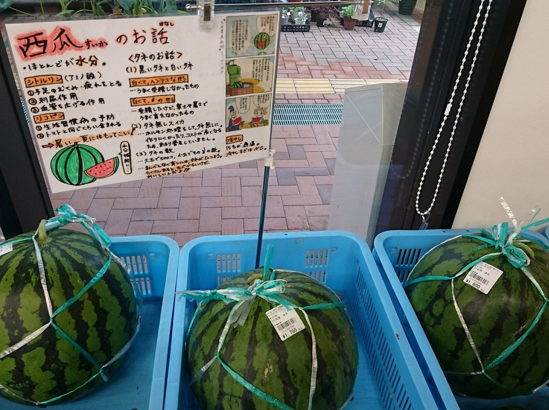 Michi-no-Eki Kanan-河南町必去景点