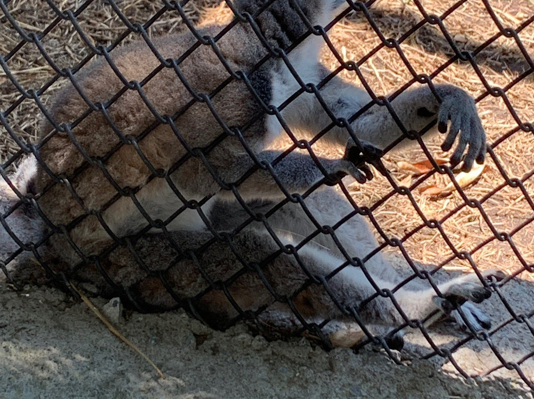 Expedición Amazonia-蒙特雷必去景点