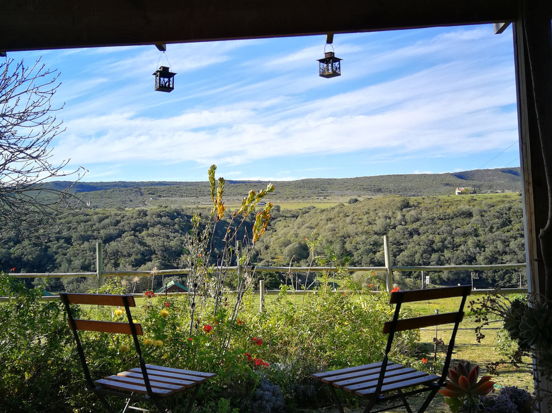 Wild Olive Guest Farm主图