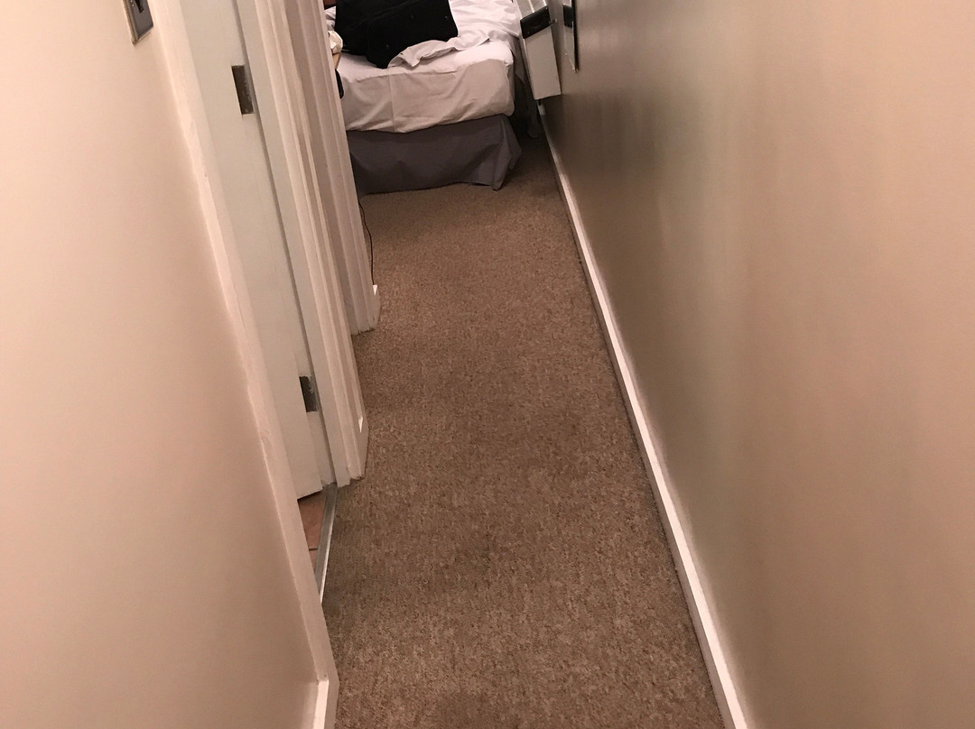 Lansdowne Hotel主图