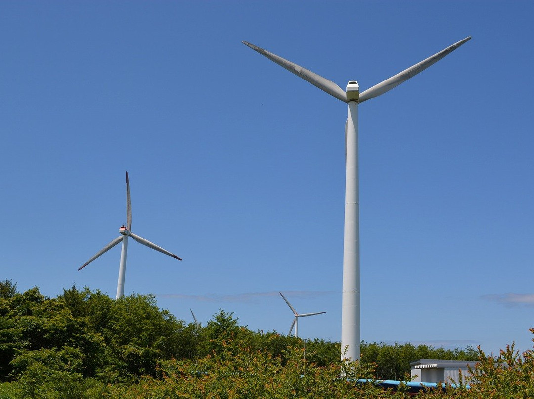 Large-scale Wind Power Generation景点图片