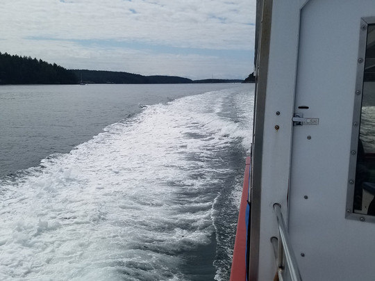 Western Prince Whale & Wildlife Tours-星期五港湾必去景点