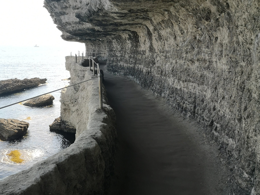 Escalier du Roi d'Aragon景点图片