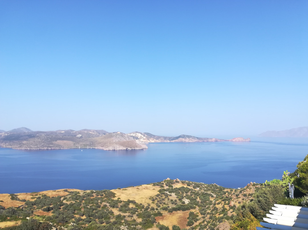 Halara Studios主图