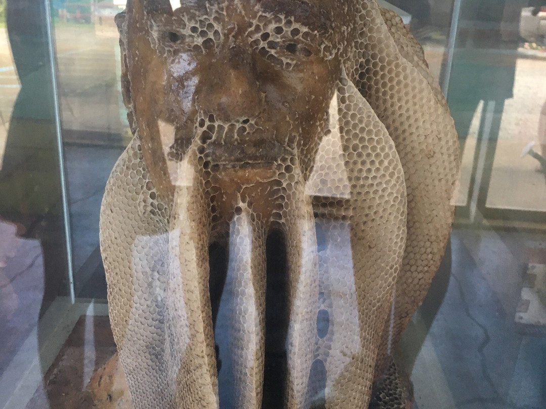 Big Island Bees-库克船长必去景点