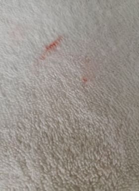 Quality Inn near Six Flags Discovery Kingdom-Napa Valley主图