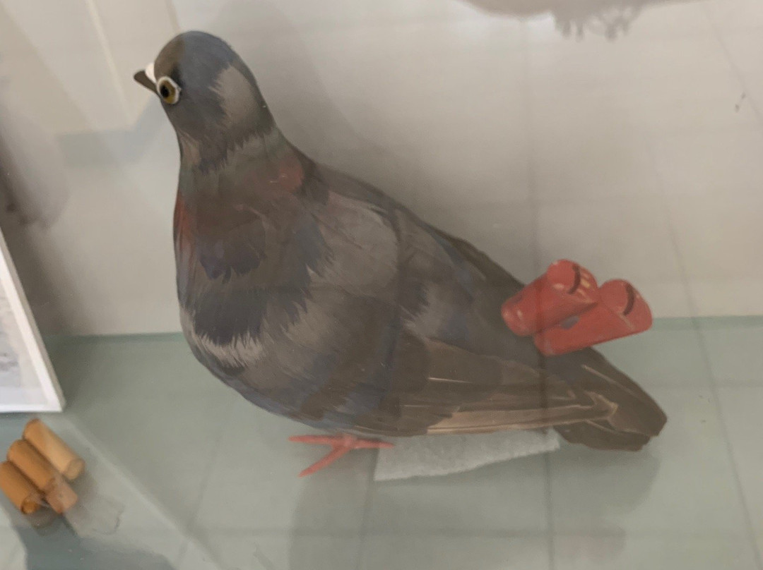 The American Pigeon Museum & Library-俄克拉何马城必去景点