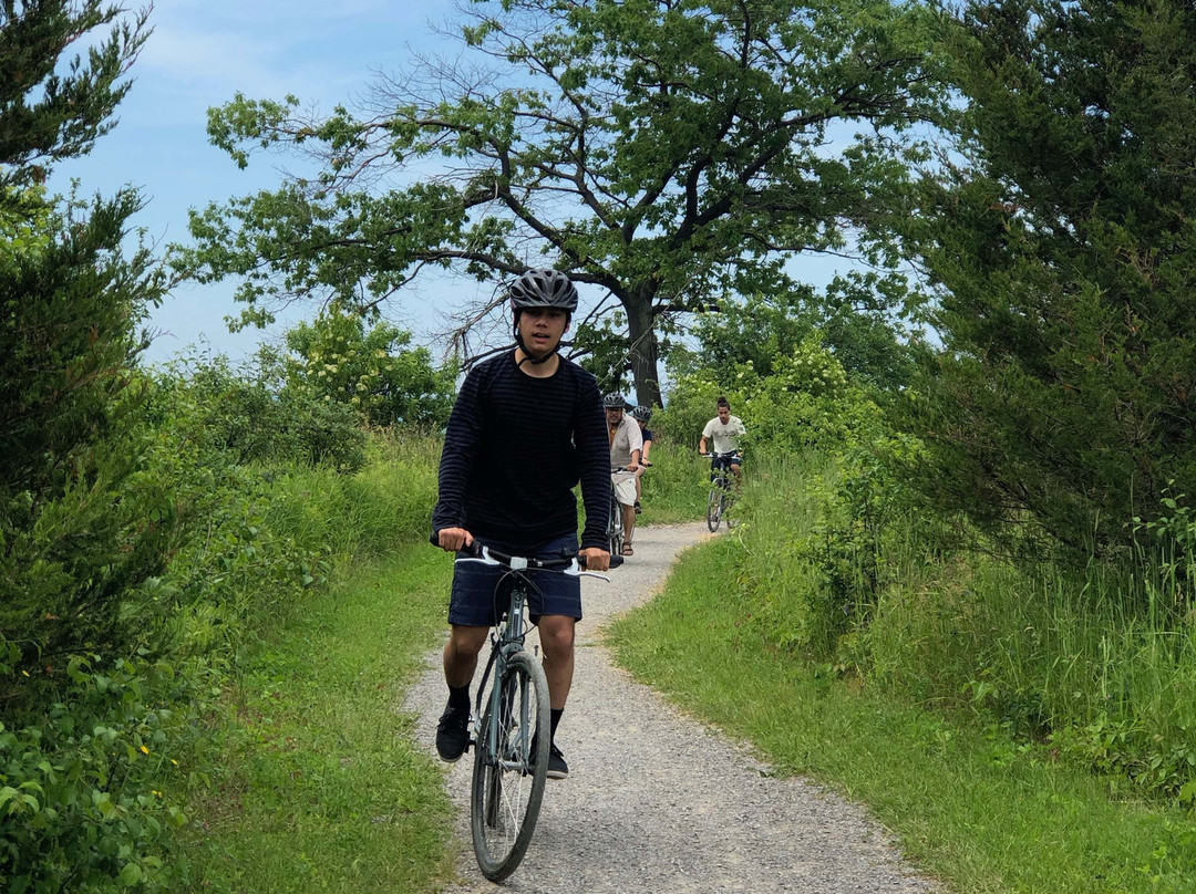 County Bike Rentals-爱德华王子县必去景点