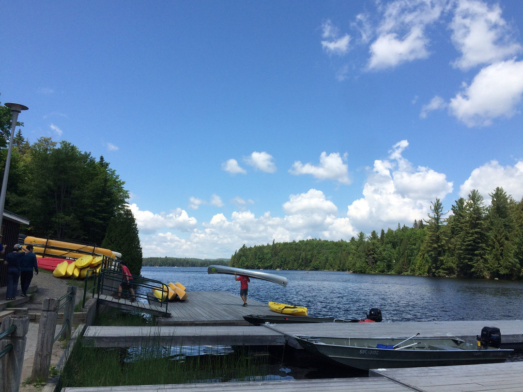 Algonquin Provincial Park景点图片