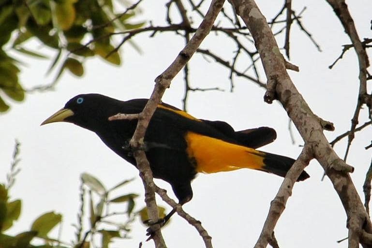 Alter Beach Turismo-Alter do Chao必去景点
