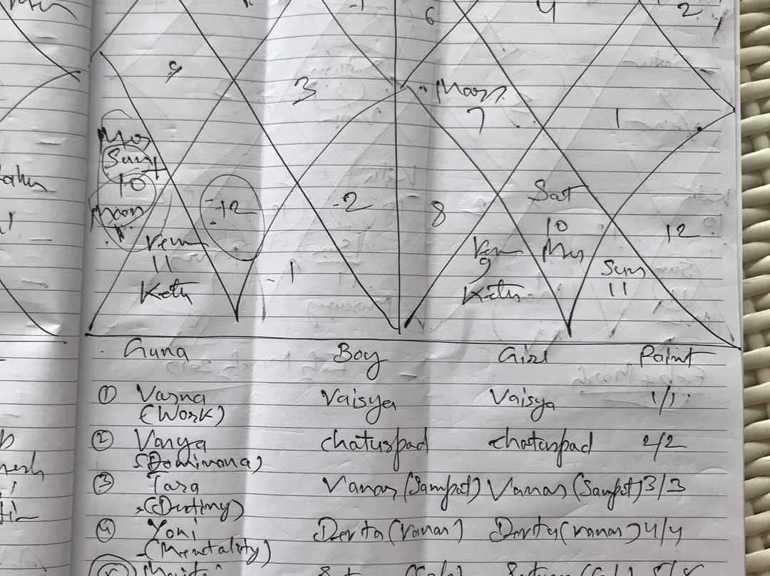Shriman Healing And Vedic Astrology-乌布必去景点