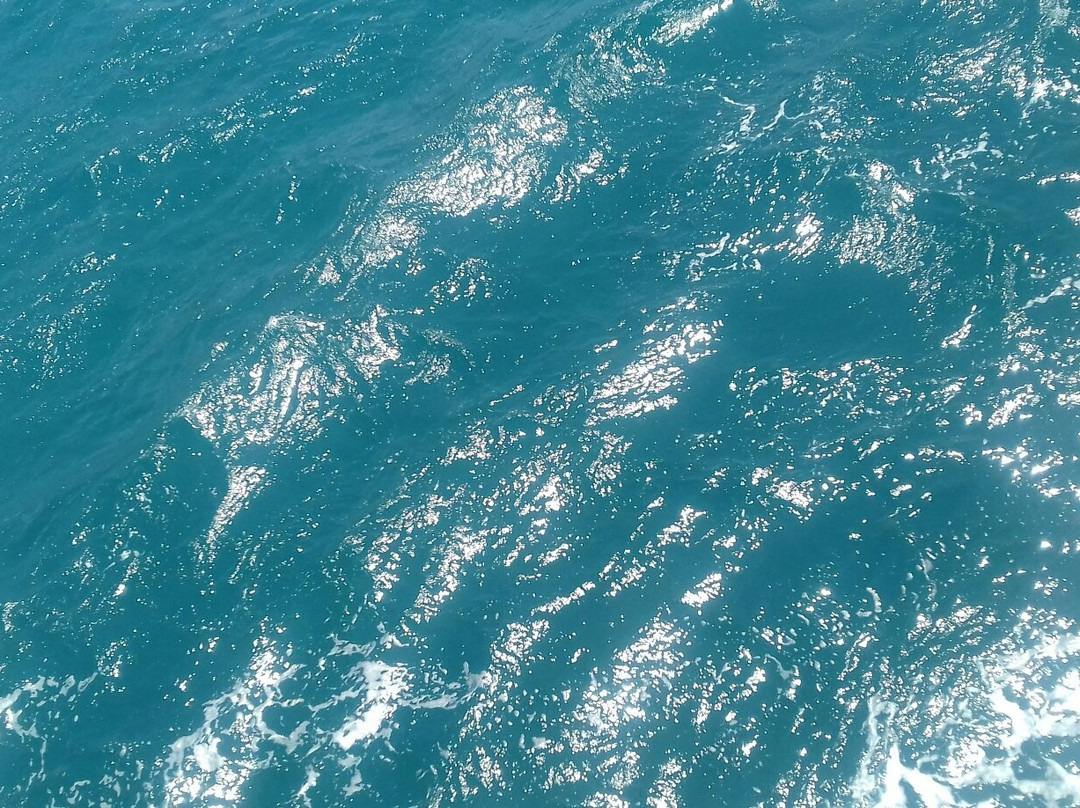 Stavros Beach-Donousa必去景点