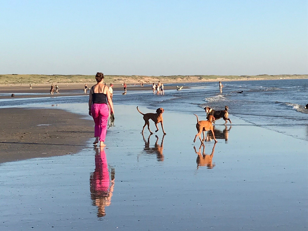 Het Strand van IJmuiden aan Zee-Ijmuiden必去景点