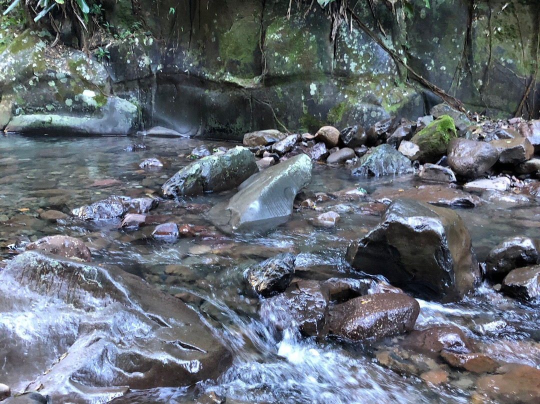 Cirenaica Canyon-Treviso必去景点
