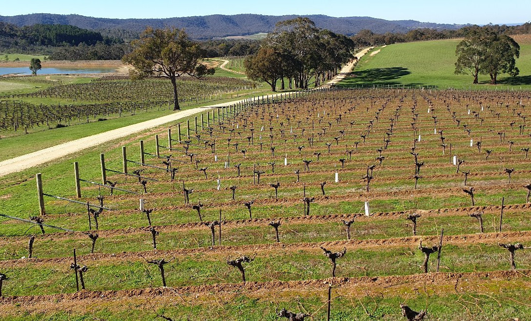 Dalwhinnie-Moonambel必去景点