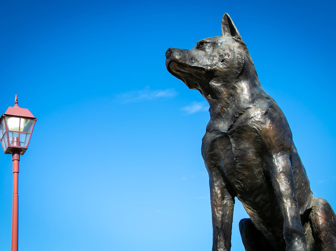 Muswellbrook Visitor Information Centre-Muswellbrook必去景点