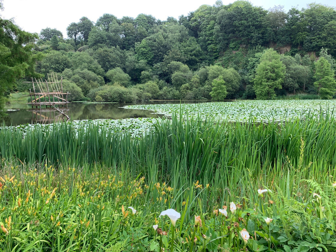Vallon du Stang Alar景点图片