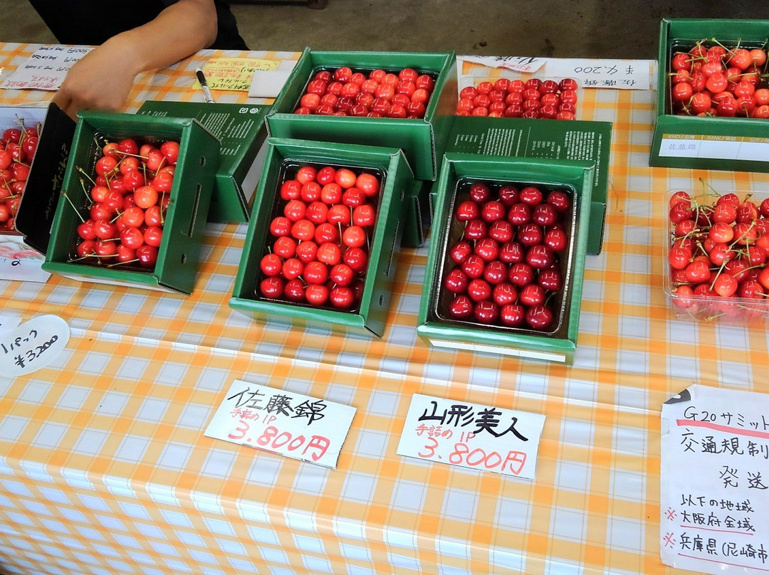 Yamagata Cherry Land and Kaminoyama Tourism Fruit Garden-上山市必去景点