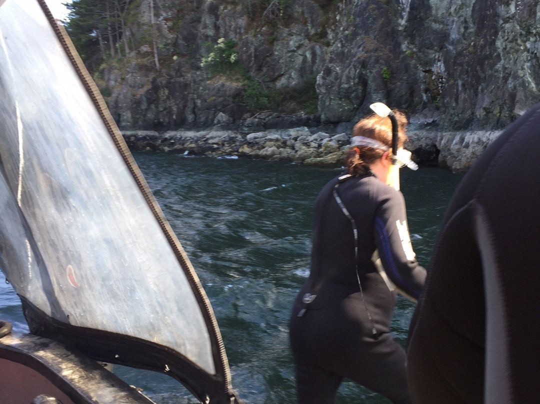 Sea Dragon Charters-马蹄湾必去景点