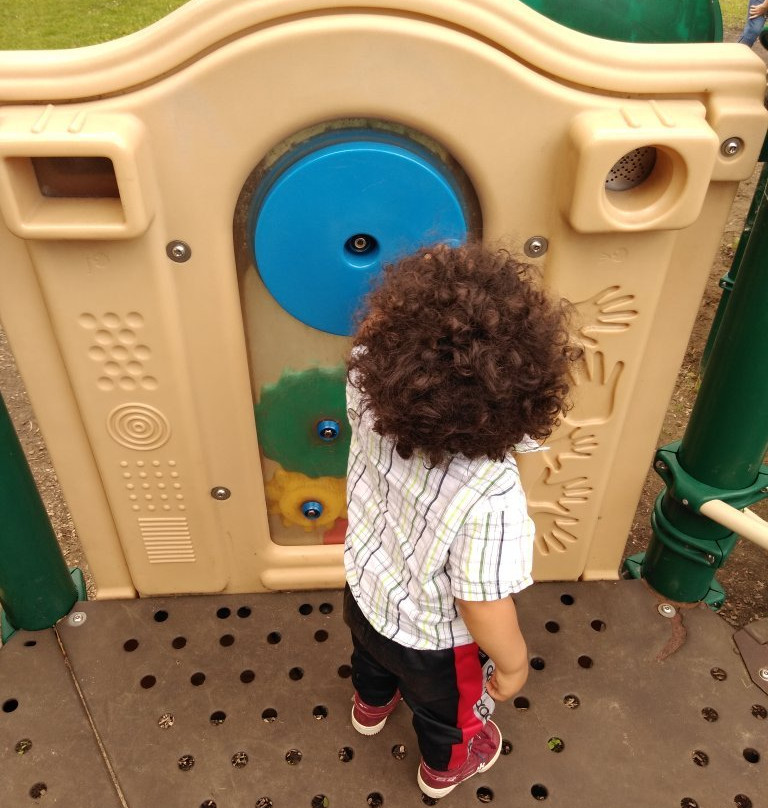 VFW Park-罗亚尔奥克必去景点