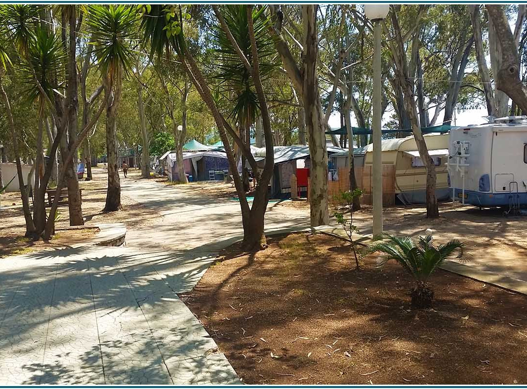 Camping Drepanos主图