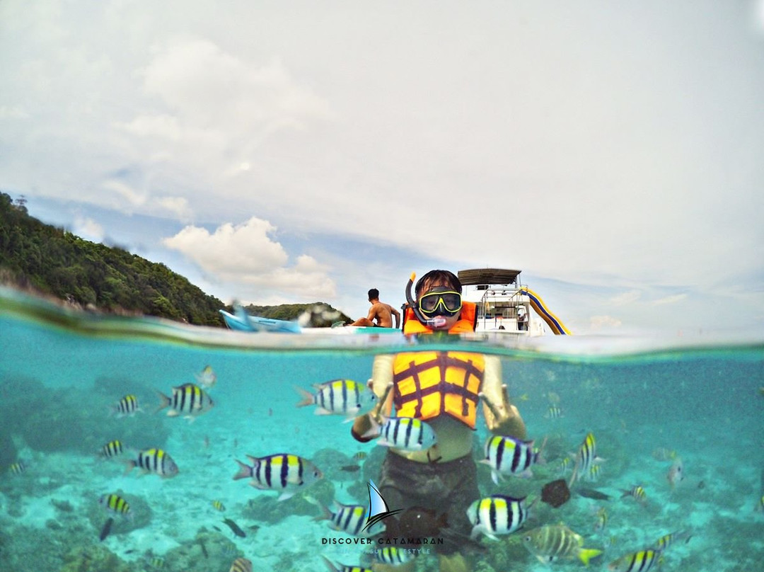 Discover Catamaran - Day Tours-他朗必去景点