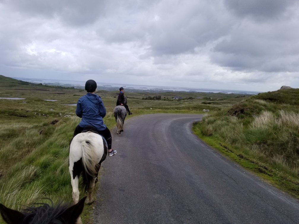 Knockillaree Riding Centre景点图片