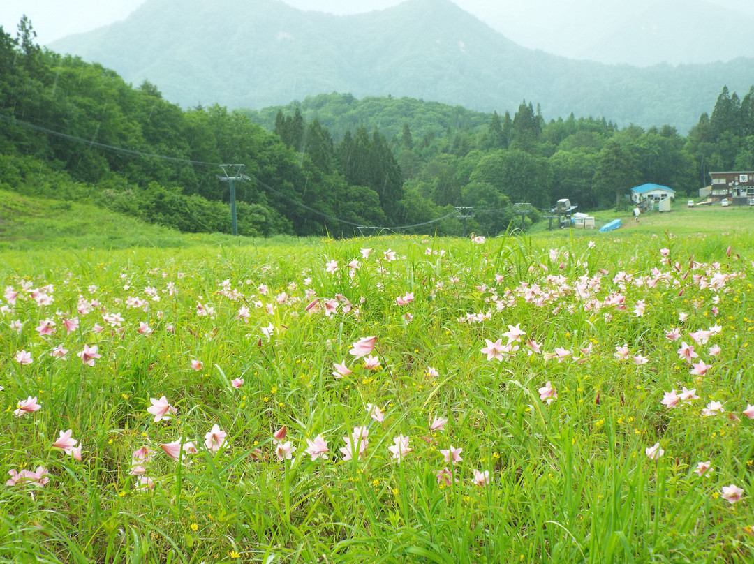 Aizu Kogen Nango Ski Area景点图片