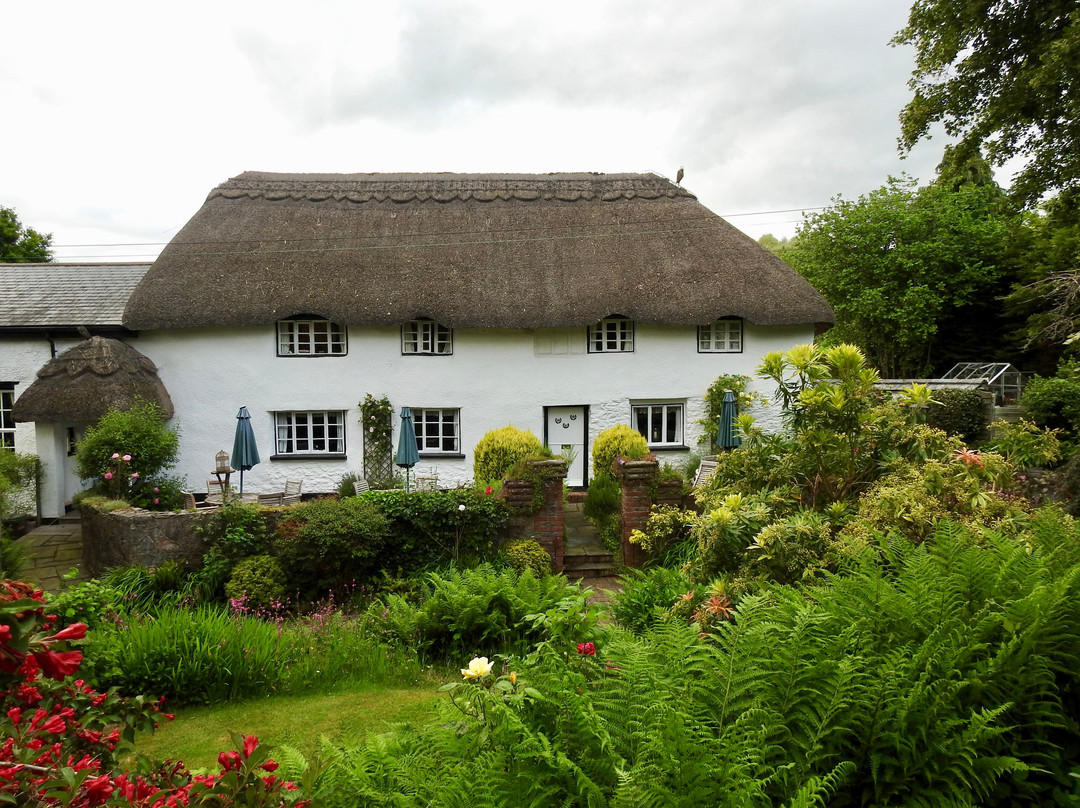 The Barn and Pinn Cottage主图