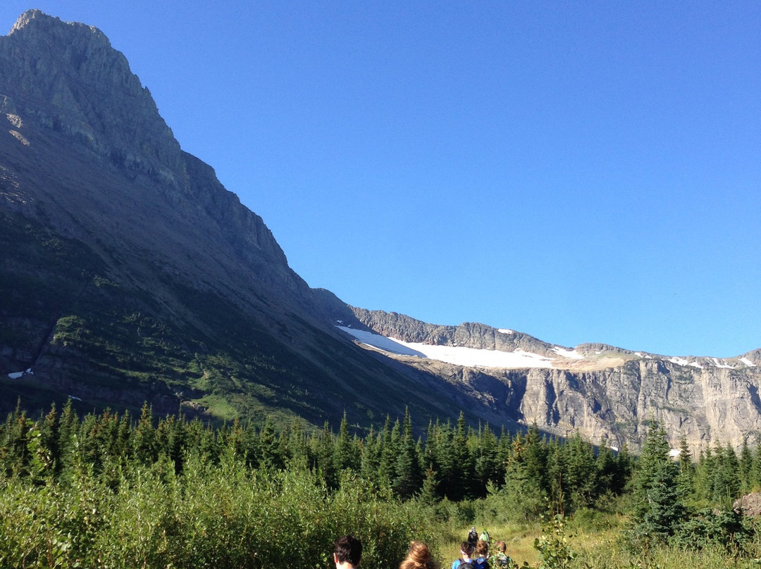 Swiftcurrent Pass Hike景点图片