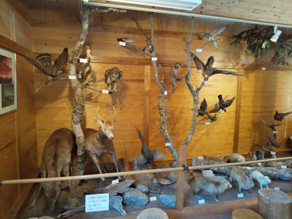 Kenyama Nature Information Center-三好市必去景点