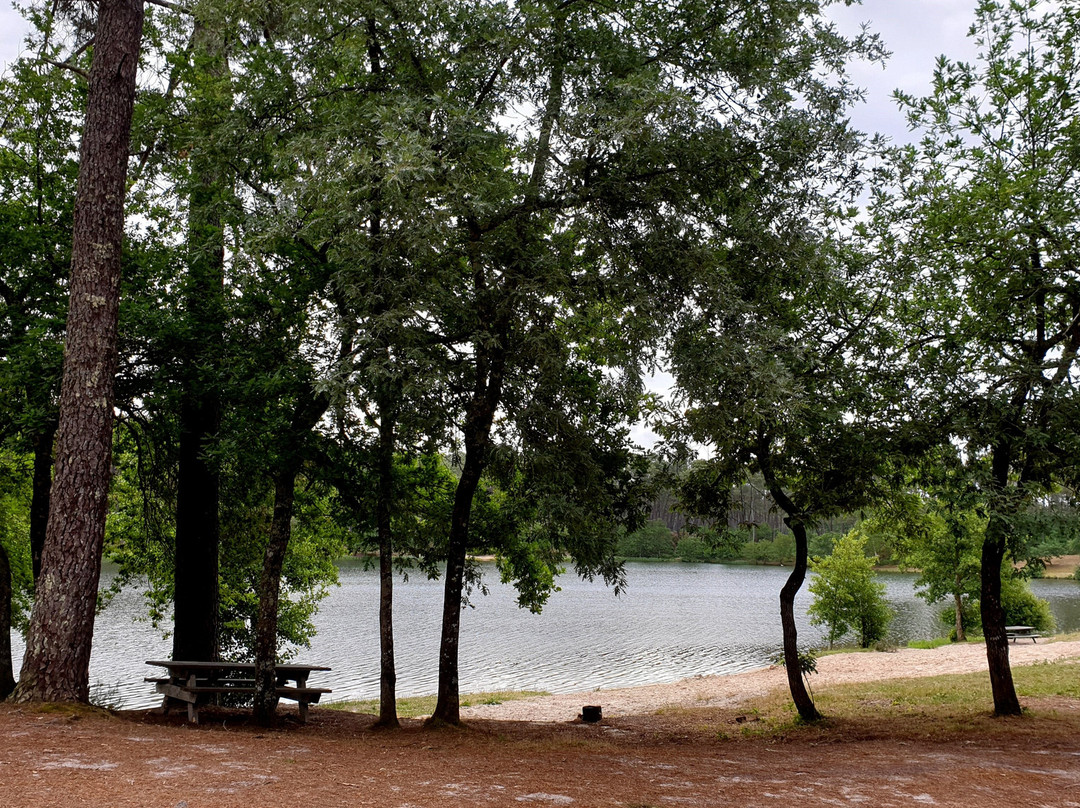 Lac de Clarens景点图片