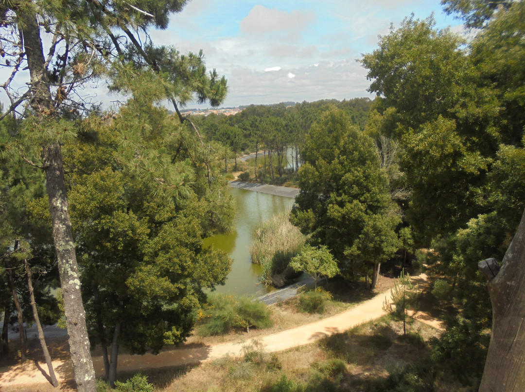 Parque Ambiental do Buçaquinho景点图片