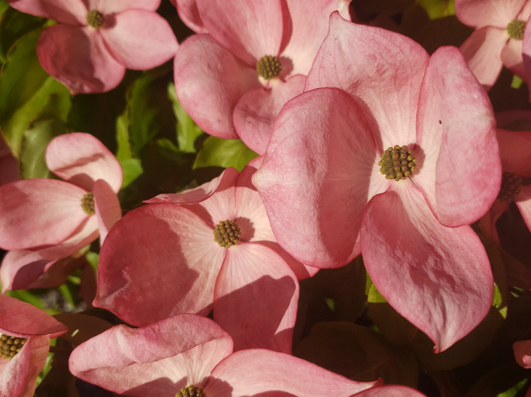 Loghouse at Halfmoon Bay主图